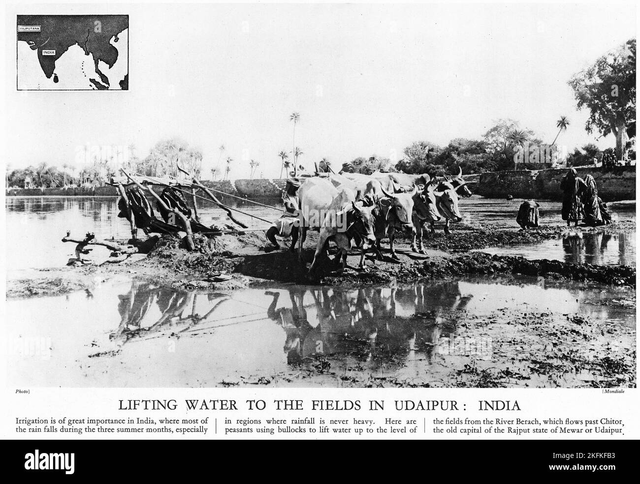 Mezzotono degli indiani che usano il bestiame per sollevare l'acqua per l'irrigazione, da una pubblicazione educativa, 1927 Foto Stock