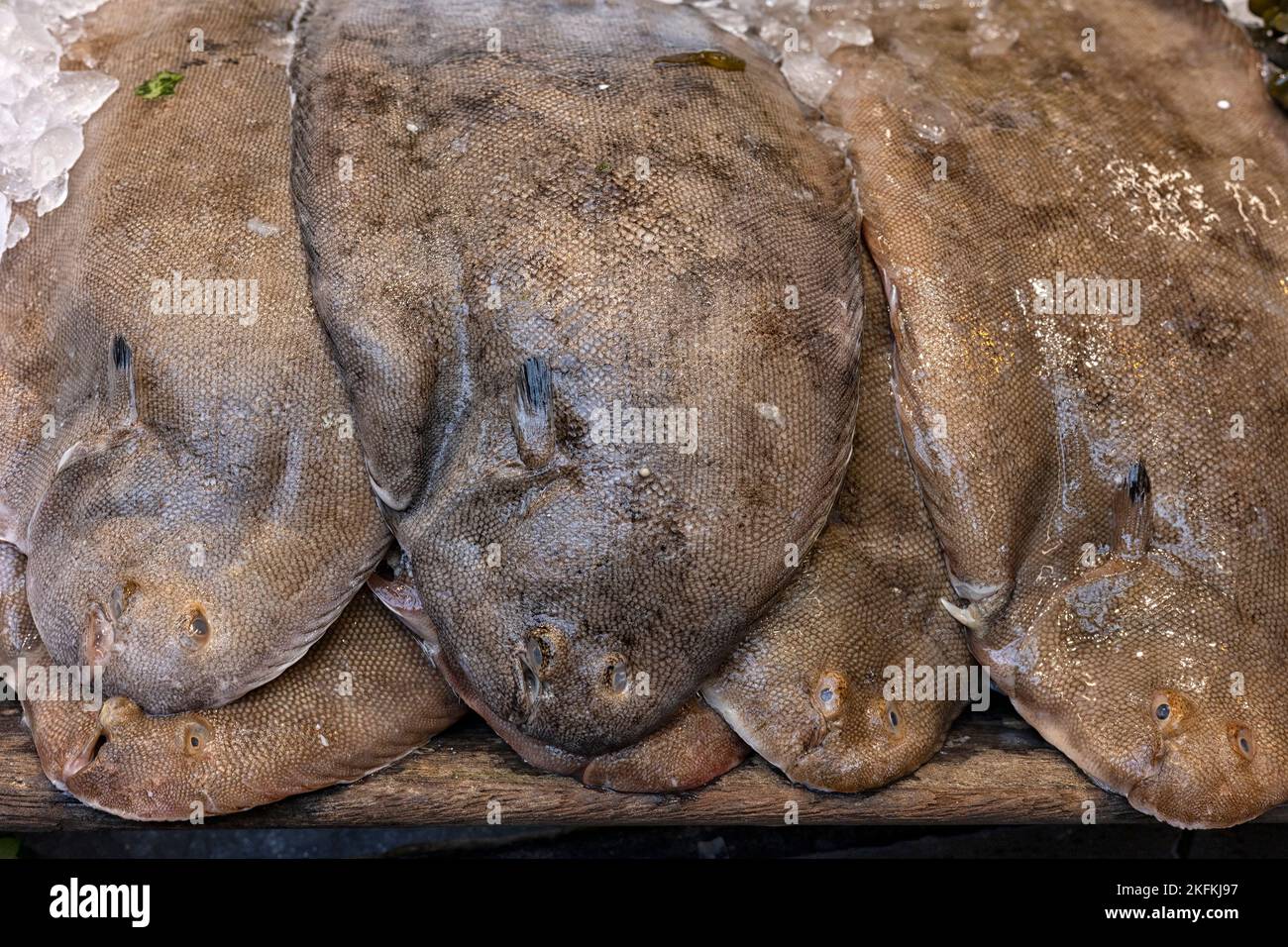 Closeup di fresco dover Sole in vendita su una stalla di pescivendoli in un mercato Ffood Foto Stock