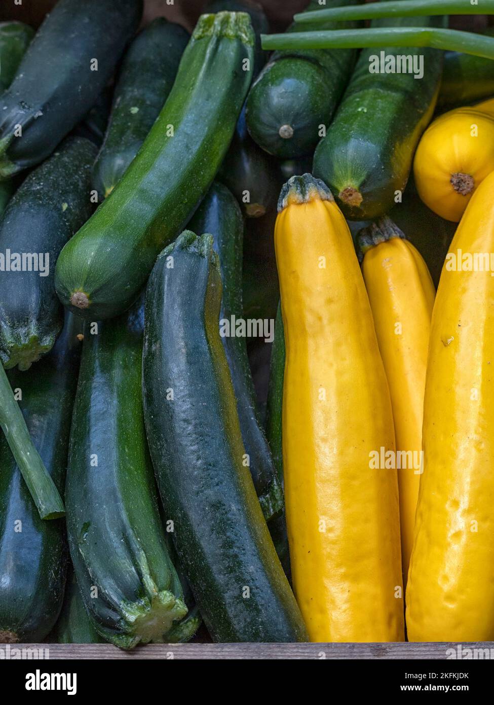 Courgettes fresco crudo verde e giallo (Zucchini) su una bancarella di fruttivendolo in un mercato alimentare Foto Stock