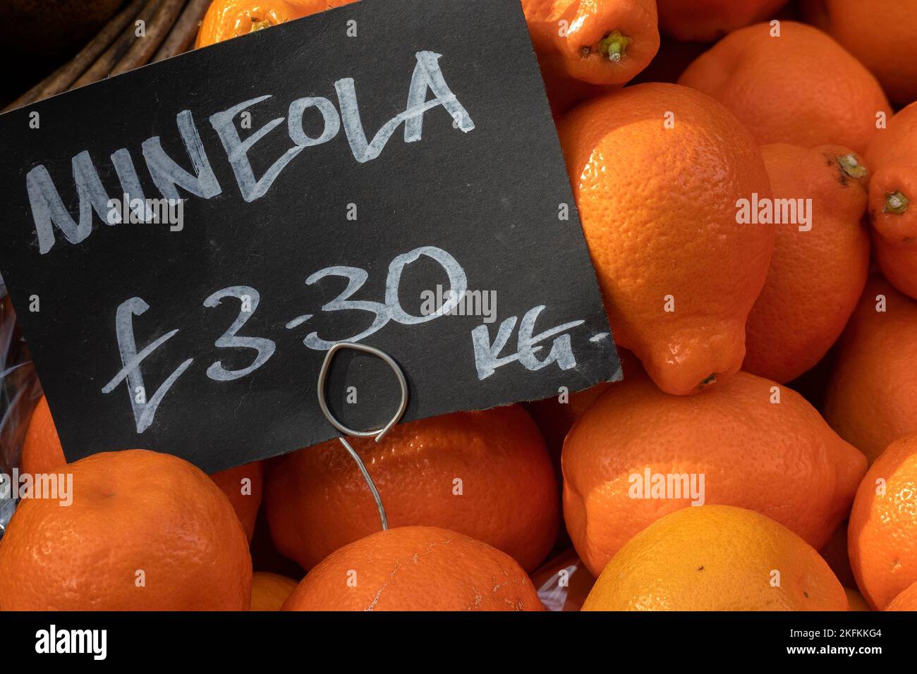 LONDRA, Regno Unito - 29 OTTOBRE 2022: Fesh Minneola Tangelo agrumi su uno stalla verde in un mercato alimentare con etichetta di prezzo Foto Stock