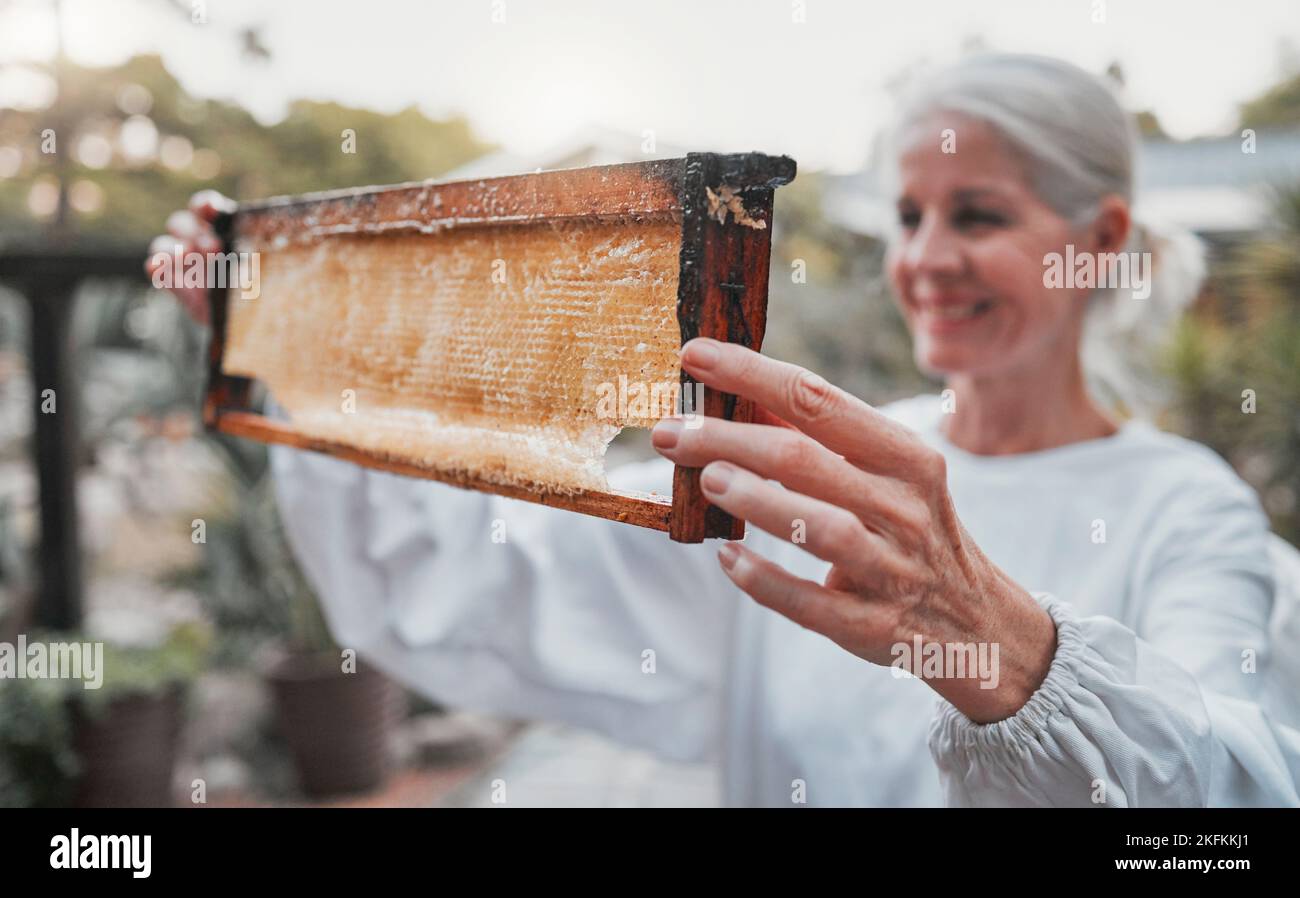 Apicoltore, felice e produzione di miele con cornice, nido d'ape o raccolta di cibo, salute o nutrizione. Donna, apicoltore e sorriso per l'agricoltura per Foto Stock