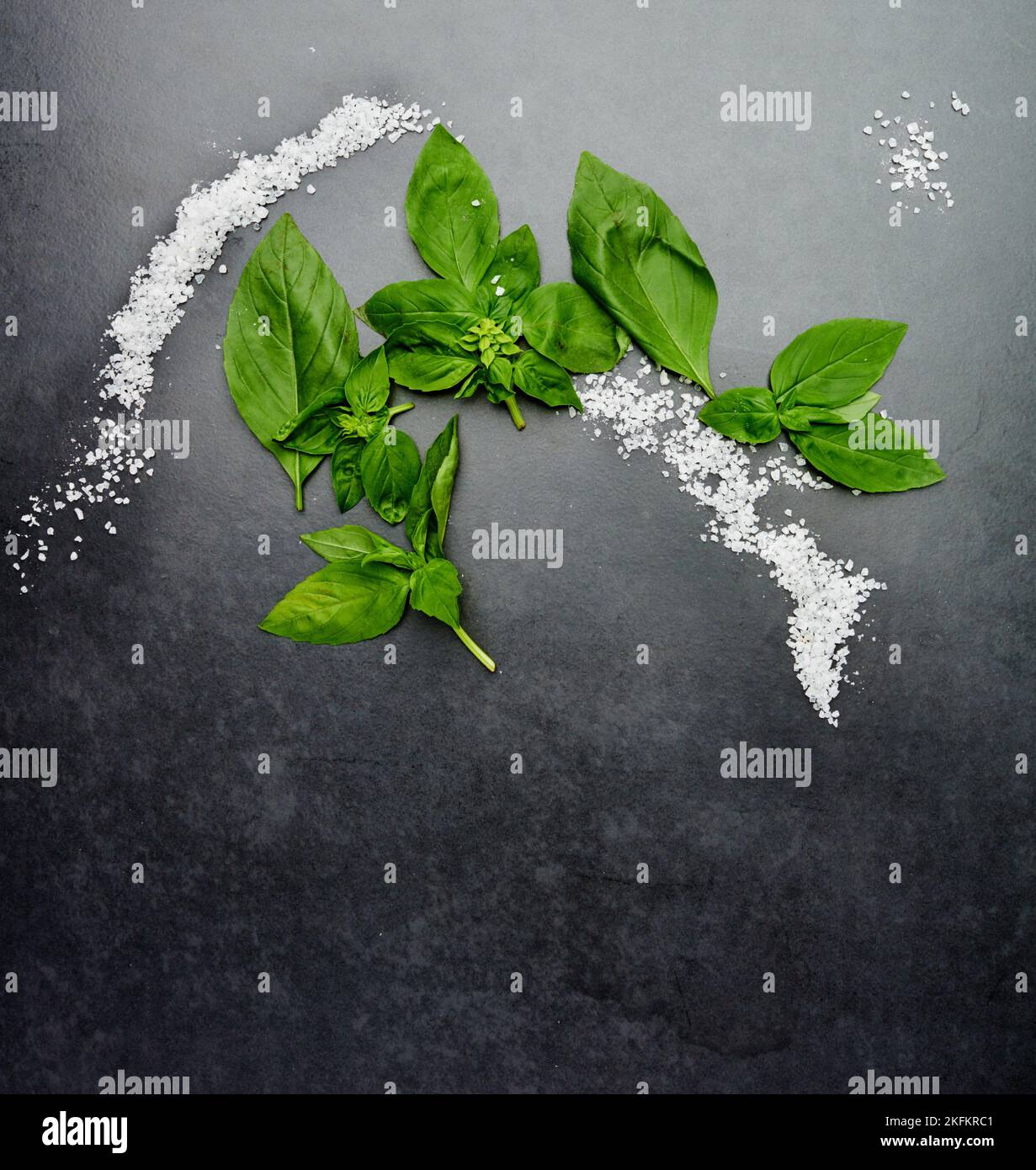 Condire a piacere. Shot da studio ad angolo alto di foglie di basilico e sale grossolano su un piano di appoggio scuro. Foto Stock