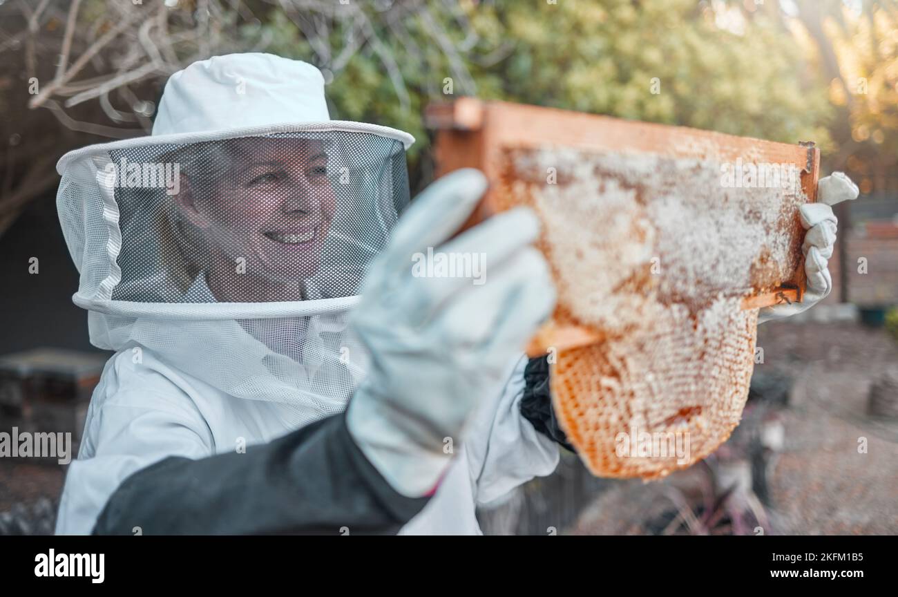 Produzione di miele, agricoltore donna e fattoria di api processo di un felice lavoratore sorriso dalla crescita a nido d'ape. Sostenibilità del lavoro, agricoltura ed ecologia Foto Stock