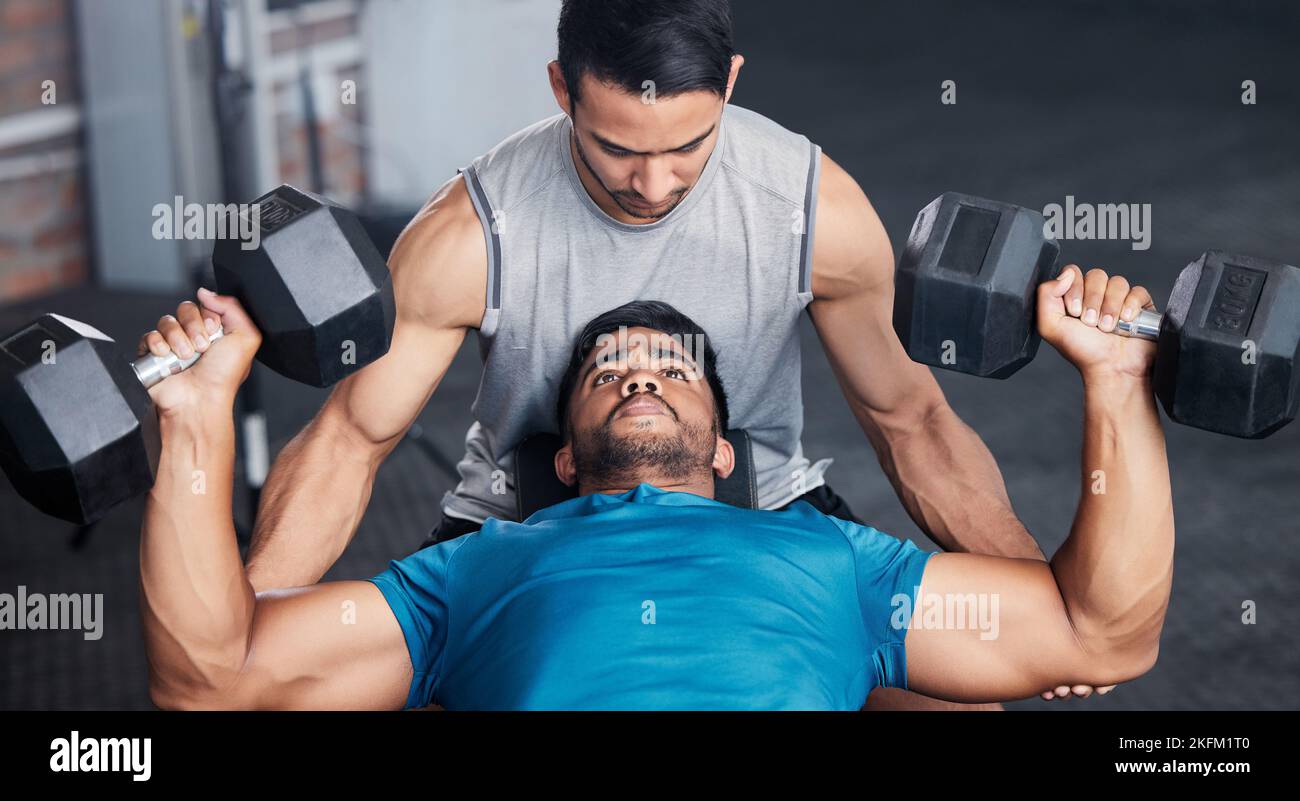 Fitness, personal trainer e panca in palestra con manubri per allenamento, bodybuilding e cardio. Esercizio, atleta e allestitore professionale Foto Stock