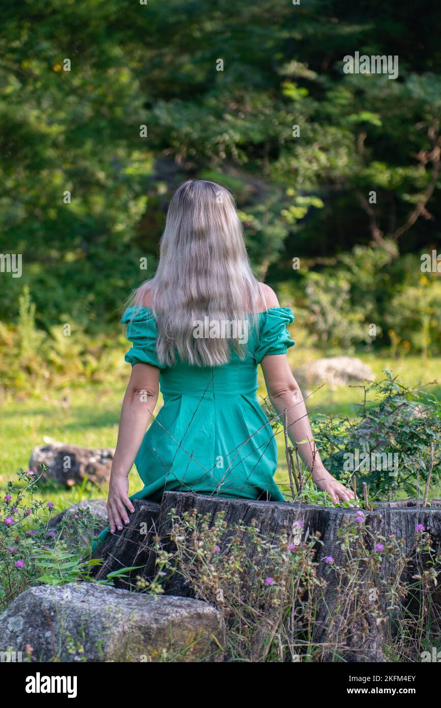 una ragazza in un vestito verde è seduta su un moncone Foto Stock