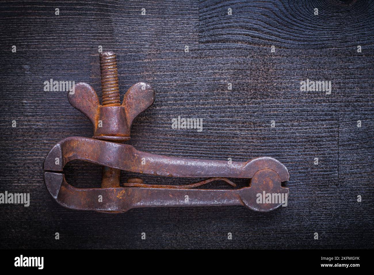 morsetto vintage su tavola di legno. Foto Stock