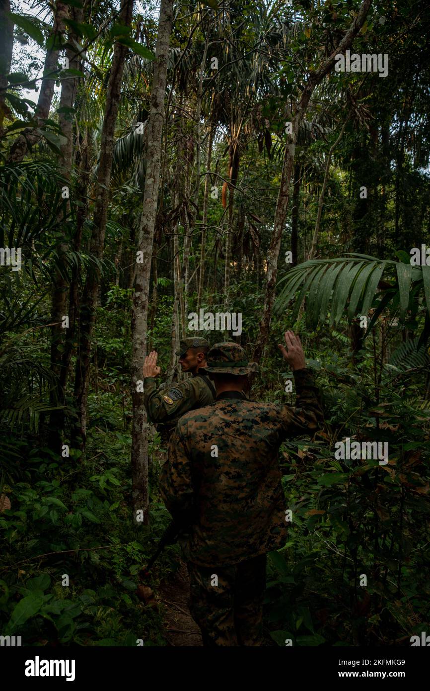 Una Marina brasiliana segnala una Marina statunitense con 2D battaglione, 2D Regimento Marino, 2D Divisione Marina, durante un pattugliamento nella giungla come parte di un evento bilaterale di addestramento nella giungla a Manaus, Brasile, 26 settembre 2022. Attività e impegni come l’addestramento nella giungla riflettono la “promessa duratura” del comando meridionale statunitense di essere un vicino affidabile. Lavorare insieme e imparare da e con le controparti brasiliane riflette una delle molte opportunità per onorare e trasmettere questa promessa. Foto Stock