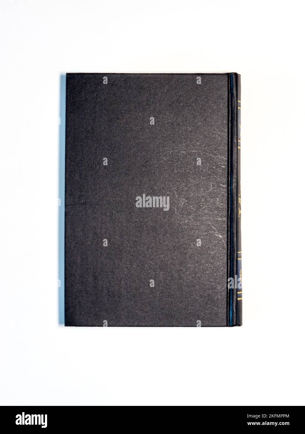 Il 'downpour della quinta luna' di Kobayashi Issa, pubblicato per la prima volta nel 1999 in URSS. Kobayashi Issa (小林 一茶 Jōdo Shinshū, 15 giugno 1763 – 5 gennaio 1828) è stato un . Foto Stock