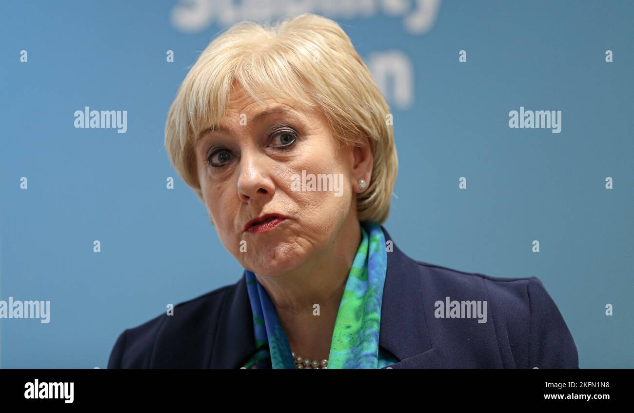 Heather Humphreys, Ministro della protezione sociale e Ministro dello sviluppo rurale e comunitario, parla ai media durante una conferenza stampa presso l'Università tecnologica dello Shannon di Athlone, Co Westmeath, davanti al fine Gael Ard Fheis. Data immagine: Sabato 19 novembre 2022. Foto Stock