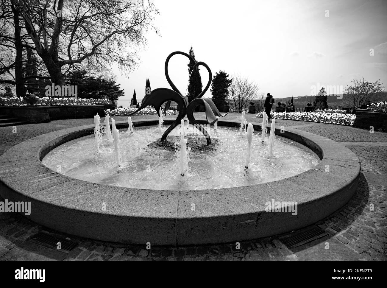 Le mie foto Foto Stock