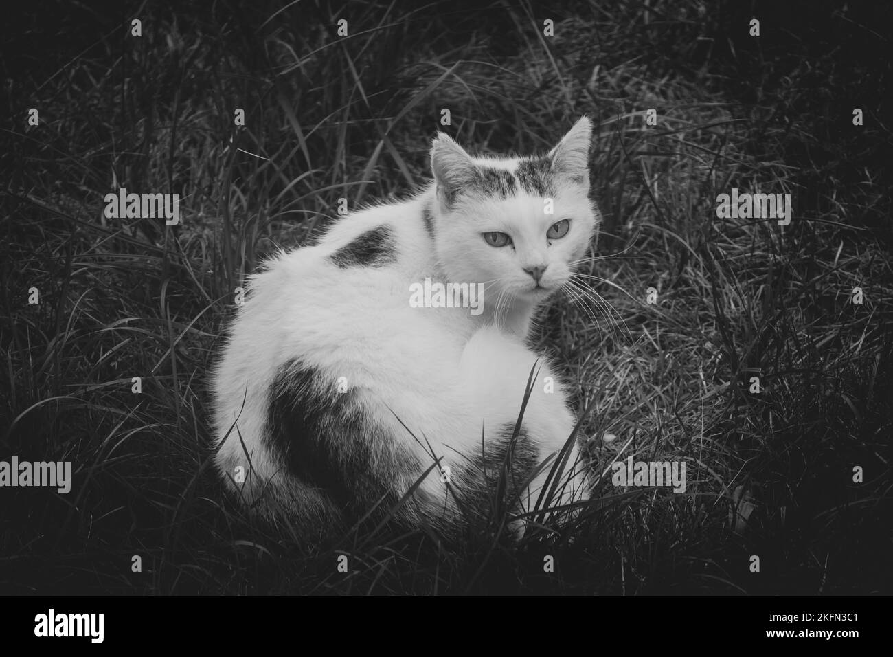 Le mie foto Foto Stock