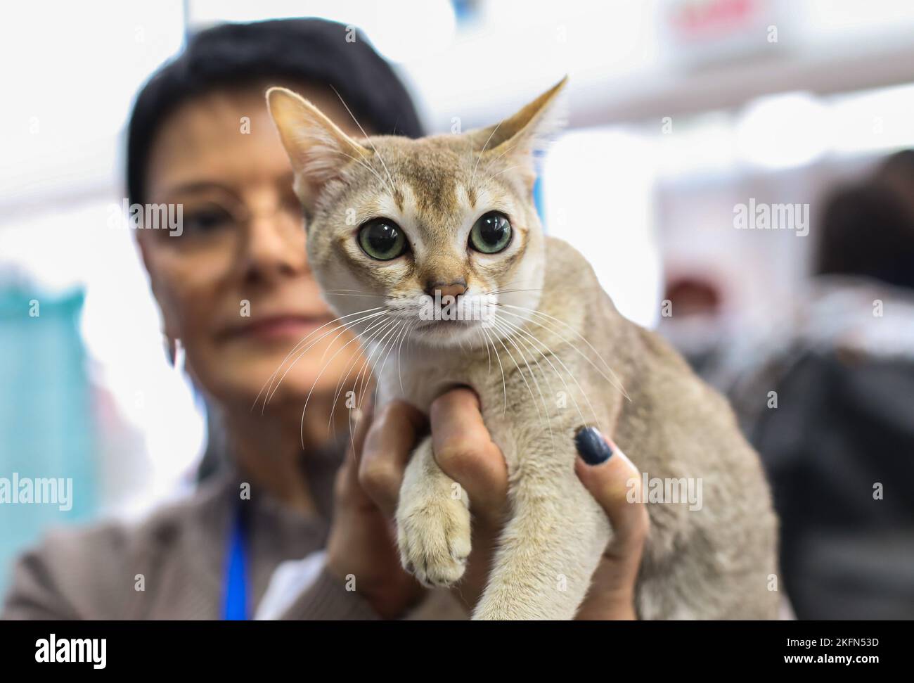 Il salone internazionale dei gatti organizzato dal club degli amanti dei  gatti Felis Croatia si è