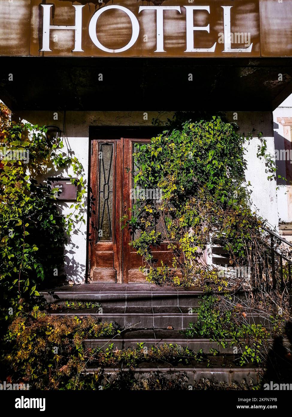 Albergo abbandonato alla periferia della città, la porta era stravolta di edera. Strasburgo Foto Stock