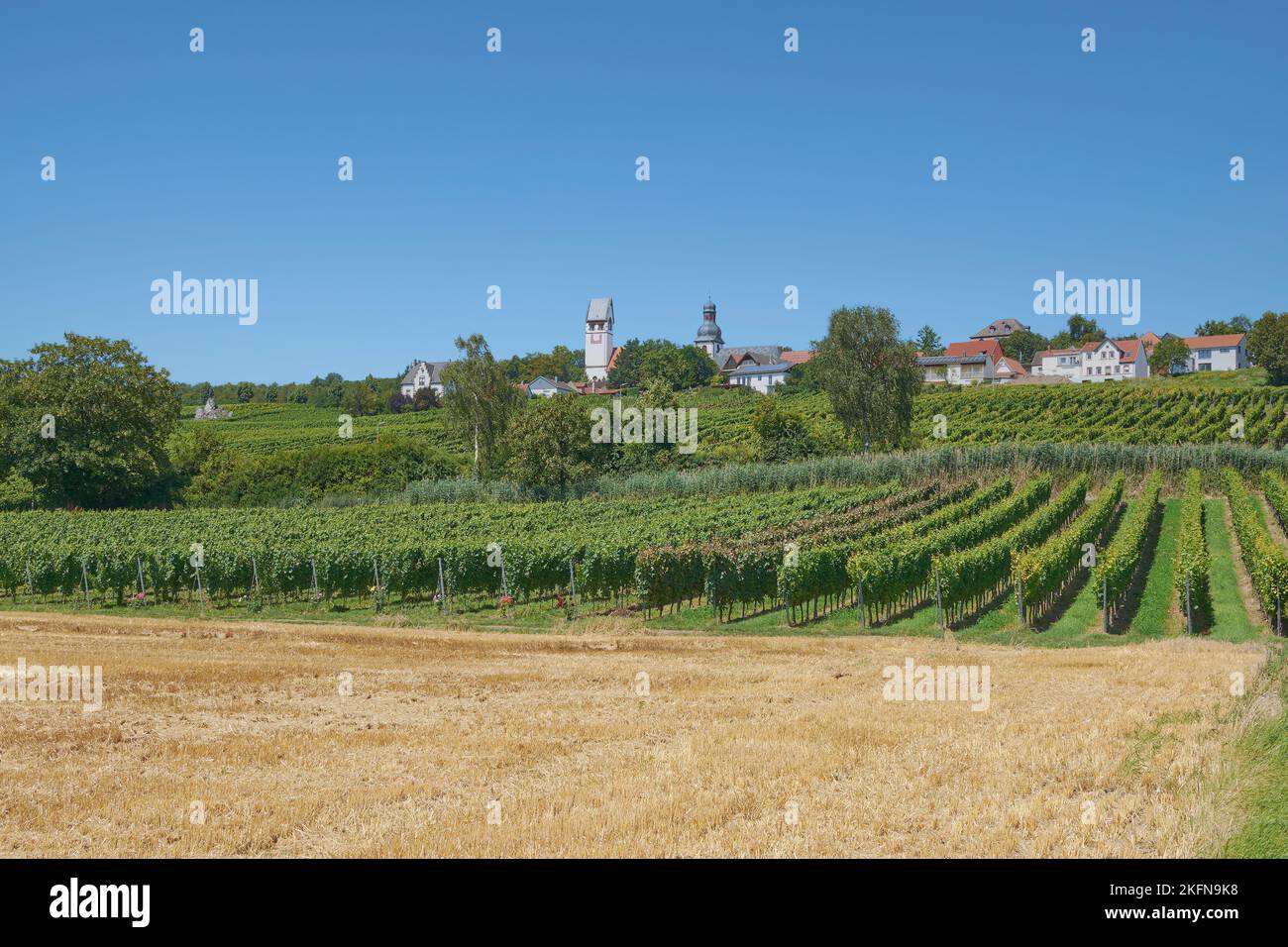 Villaggio del vino di Zell (Zellertal), Donnersbergkreis, Renania-Palatinato, Germania Foto Stock