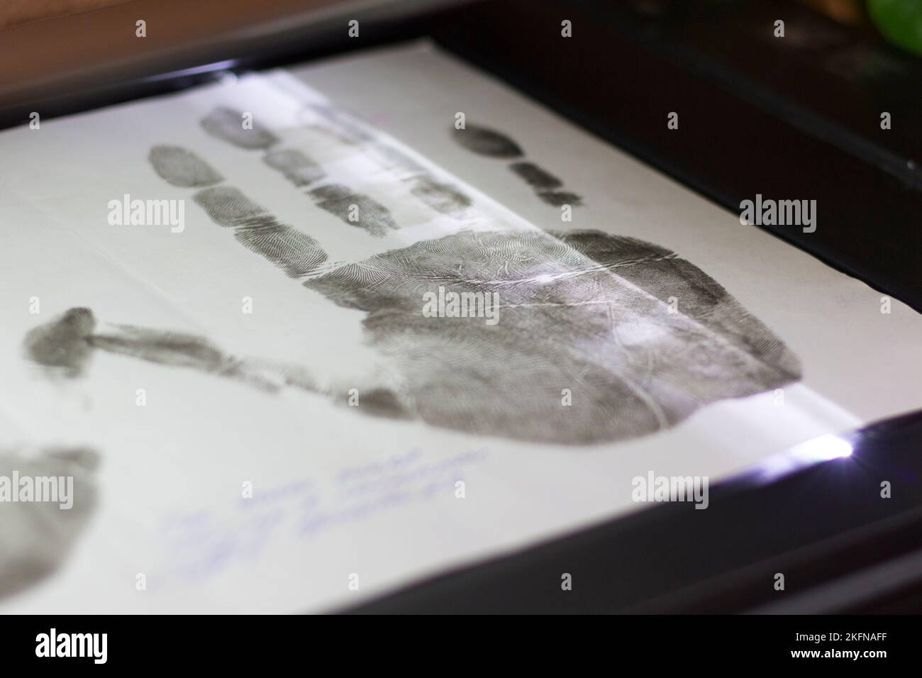 Scansione di impronte digitali e palmi sullo scanner Foto Stock