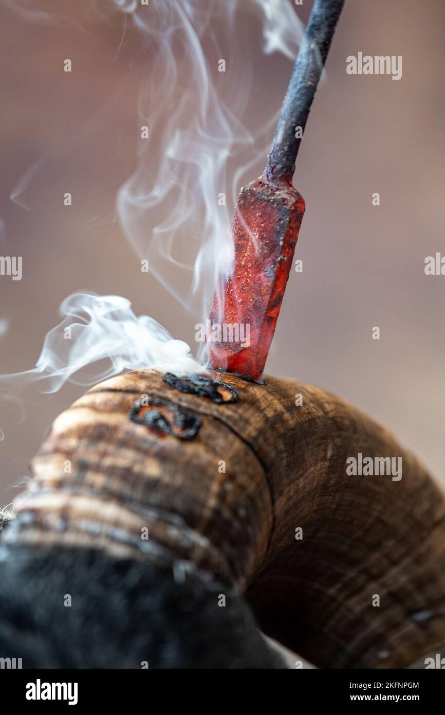 Hornburning Scottish Blackface arida prima di una vendita. Scozia, Regno Unito. Foto Stock