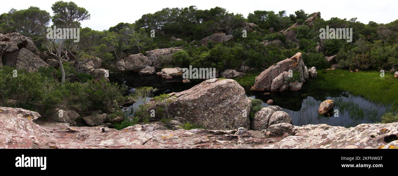 palude con rocce riserva naturale a minorca Foto Stock