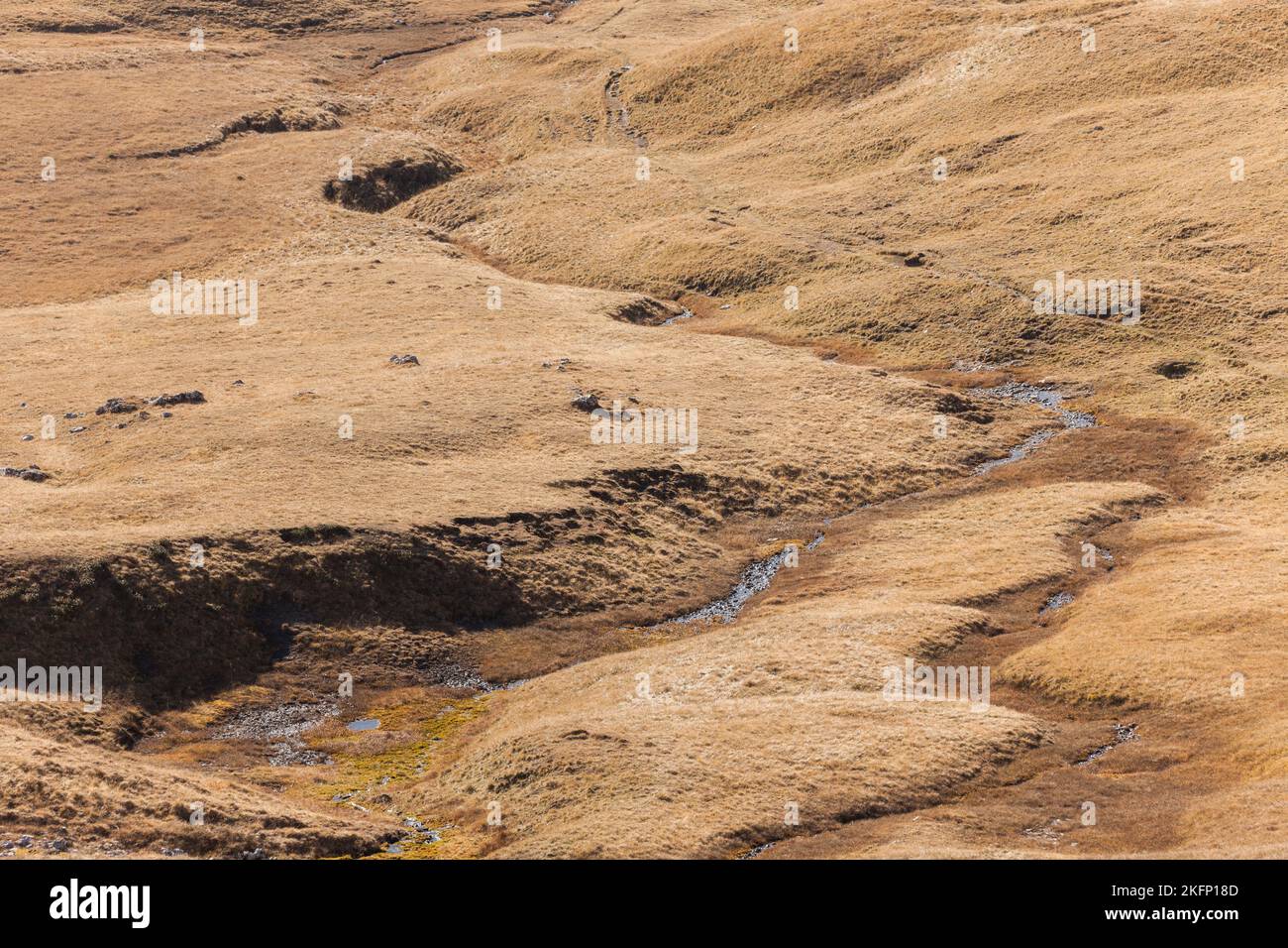 Un ruscello si trova nella zona di Mondeval tra le Dolomiti Foto Stock