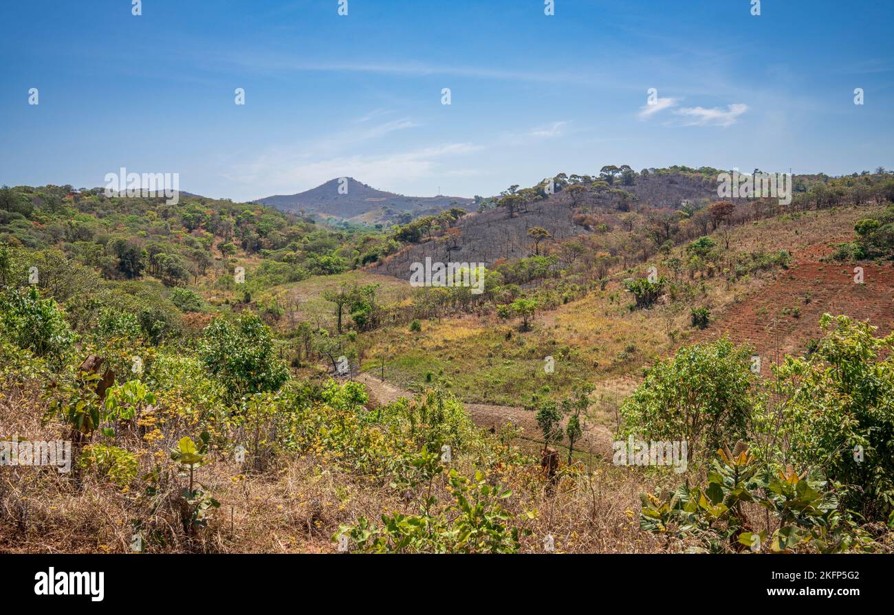 Ambiente agricolo che mostra segni di distruzione di incendi selvatici vicino a Bula, Nkhata Bay District, Malawi Foto Stock