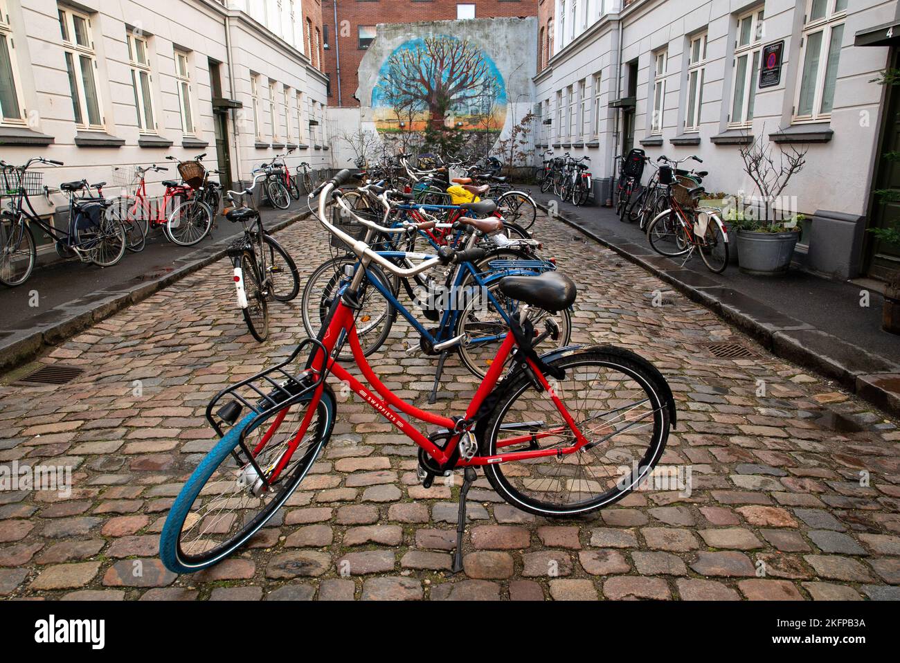 Molte biciclette a pedale sono parcheggiate su una strada in un parcheggio per biciclette a Copenhagen, Danimarca. Parcheggio per biciclette. Città più verde d'Europa, trasporto sostenibile. Foto Stock