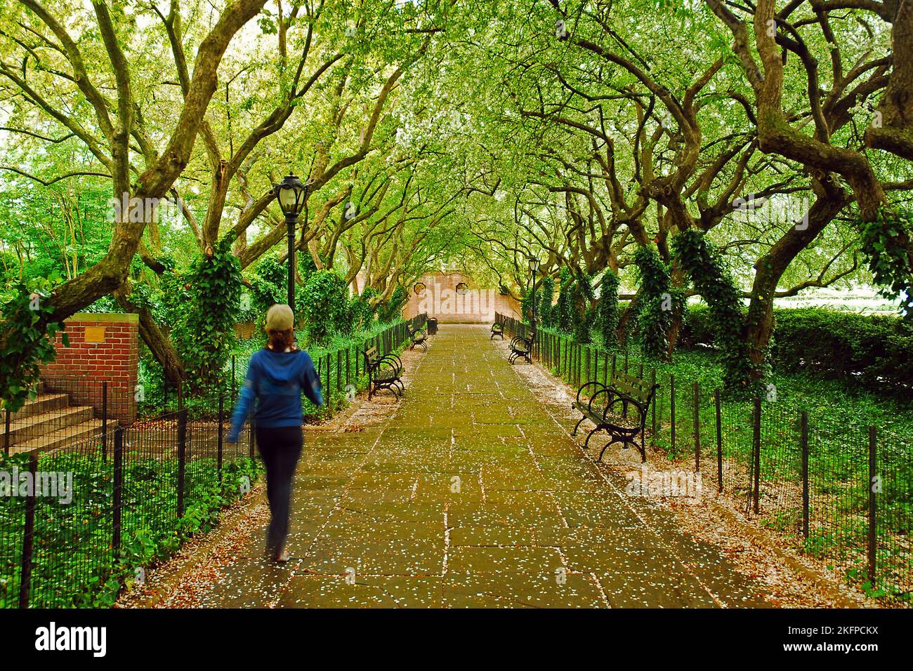 Una giovane donna gode di una passeggiata in tarda primavera al Conservatory Gardens, Central Park, New York Foto Stock