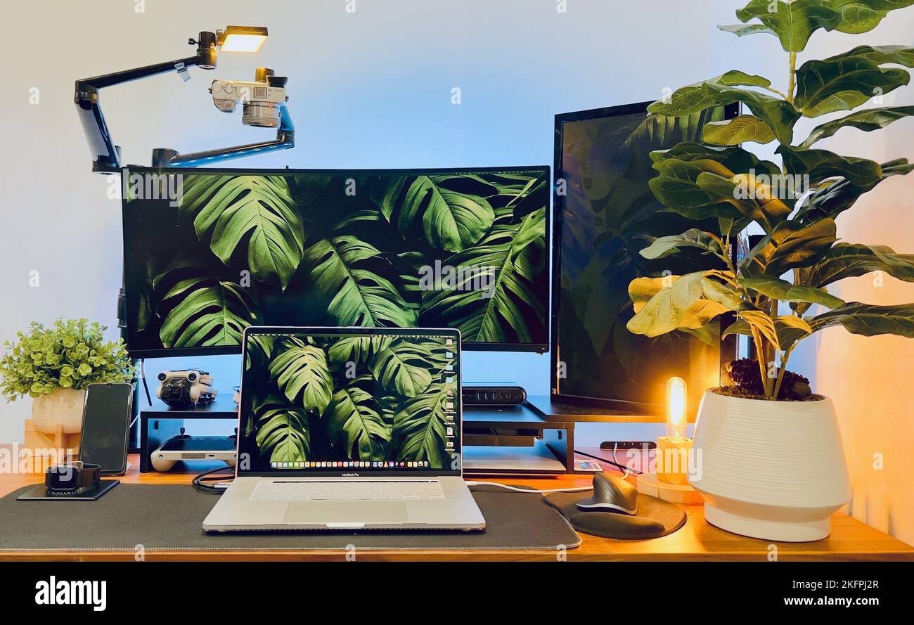 Una scrivania con MacBook, monitor curvo e un impianto. Foto Stock