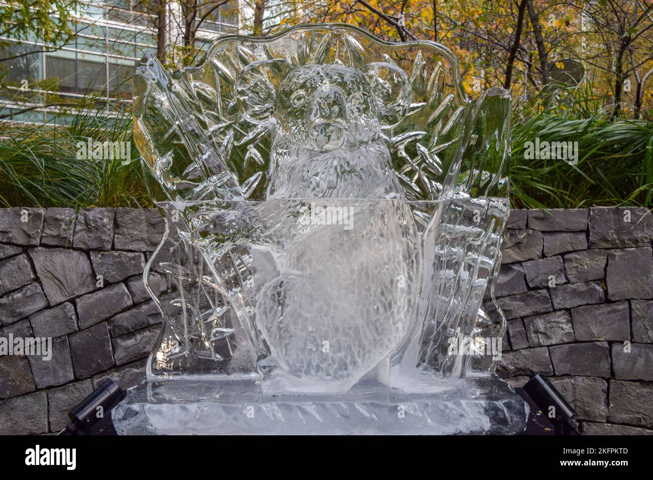 Londra, Regno Unito. 19th novembre 2022. Scultura Koala. Gli scultori hanno creato sculture di ghiaccio di animali a Canary Wharf come parte dell'evento Winter Ice, che ha lo scopo di evidenziare l'urgenza di proteggere le specie minacciate in tutto il mondo. Credit: Vuk Valcic/Alamy Live News Foto Stock