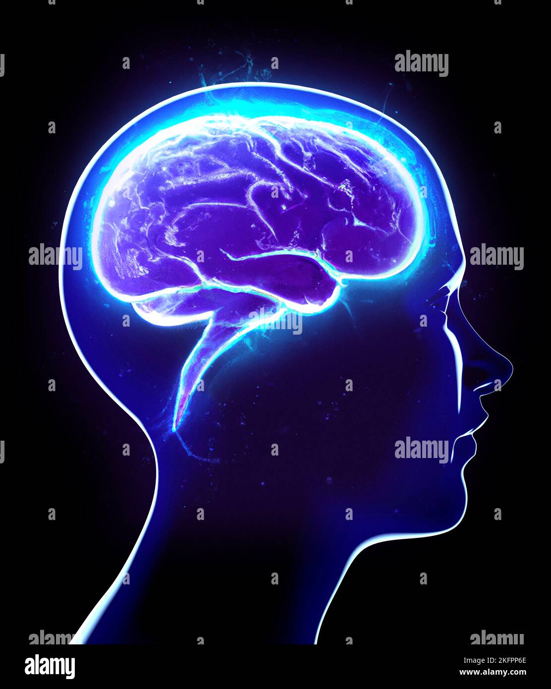 Neurologia, filosofia: Le connessioni, lo sviluppo del pensiero e della riflessione, le infinite possibilità del cervello e della mente. Faccia anatomica umana Foto Stock