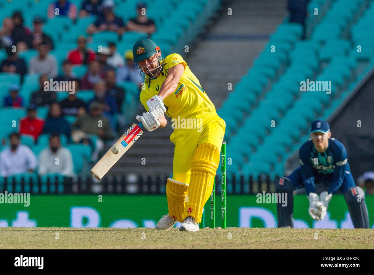 Sydney, Australia. 19 Nov 2022. Incontro di cricket Australia contro Inghilterra nella serie 2022-2023 'One Day International' (ODI) al Sydney Cricket Ground. Nella foto: Marcus Stoinis. Foto Stock