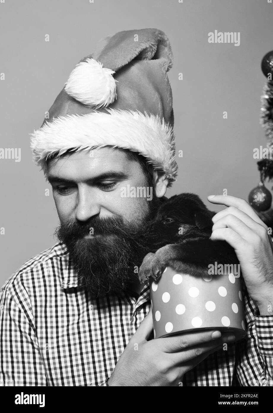 Concetto di vacanza di Natale. Uomo in cappellino natalizio con cucciolo. Foto Stock