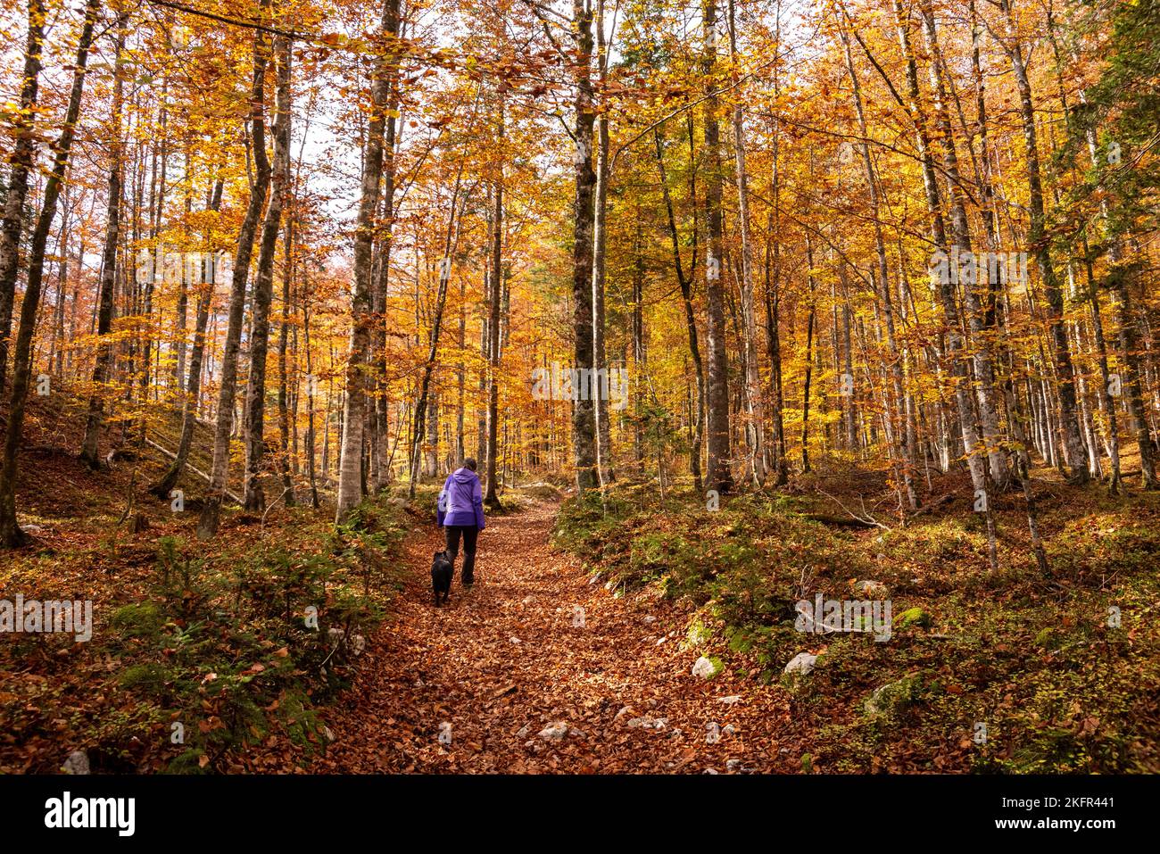 Escursioni nella valle di Vrata in autunno, Parco Nazionale del Triglav nelle Alpi Giulie, Slovenia Foto Stock