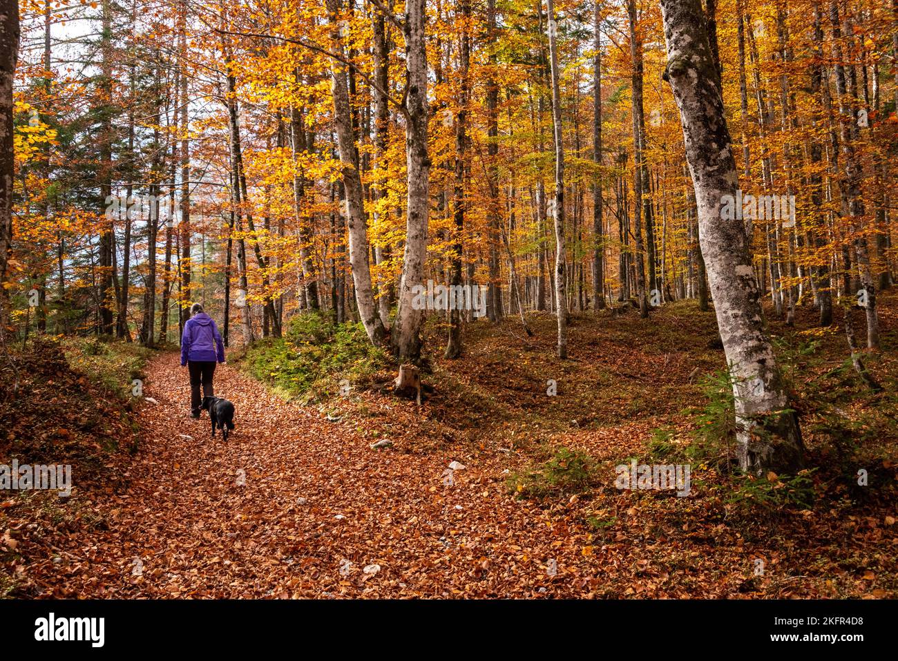 Escursioni nella valle di Vrata in autunno, Parco Nazionale del Triglav nelle Alpi Giulie, Slovenia Foto Stock