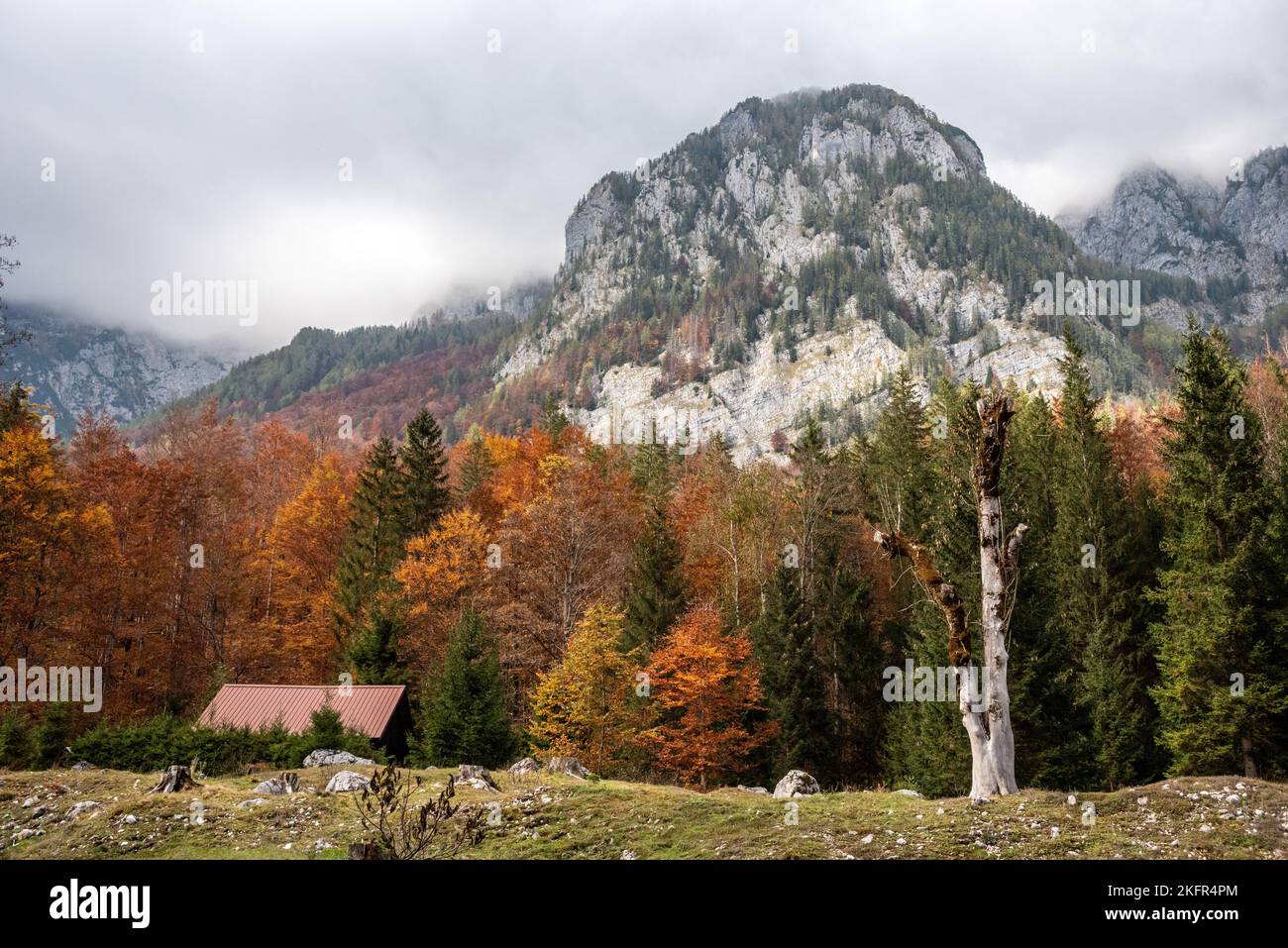 Escursioni nella valle di Vrata in autunno, Parco Nazionale del Triglav nelle Alpi Giulie, Slovenia Foto Stock