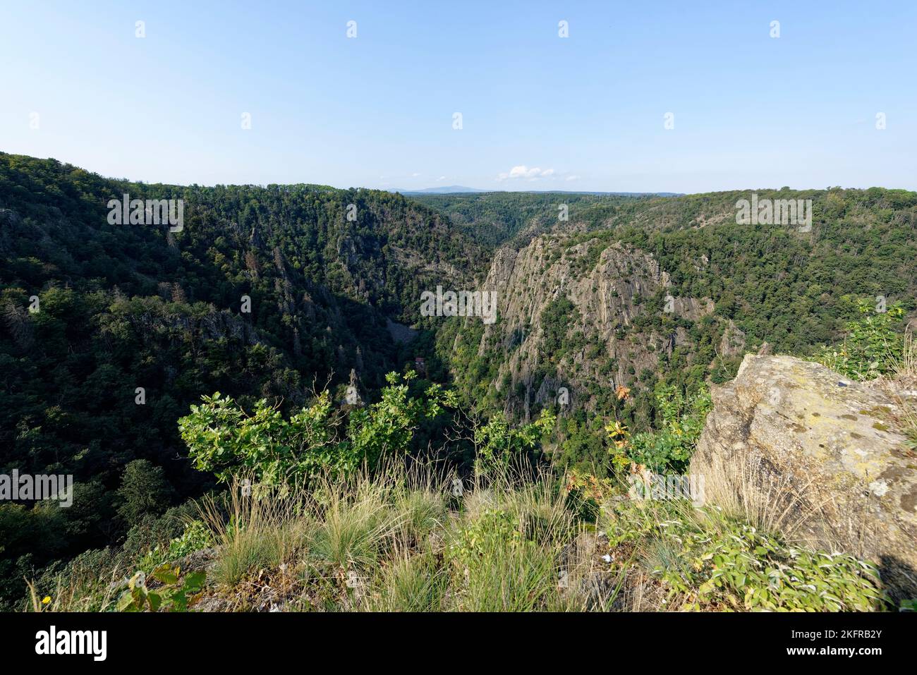 Obscurum Thale .Harz .Sachsen Anhalt. Foto Stock