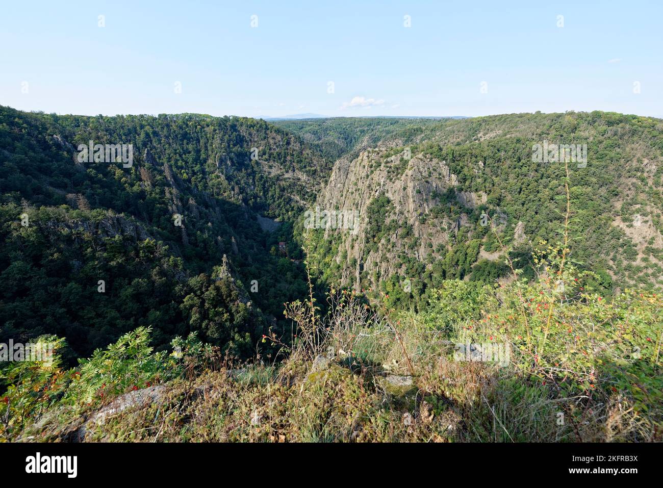 Obscurum Thale .Harz .Sachsen Anhalt. Foto Stock