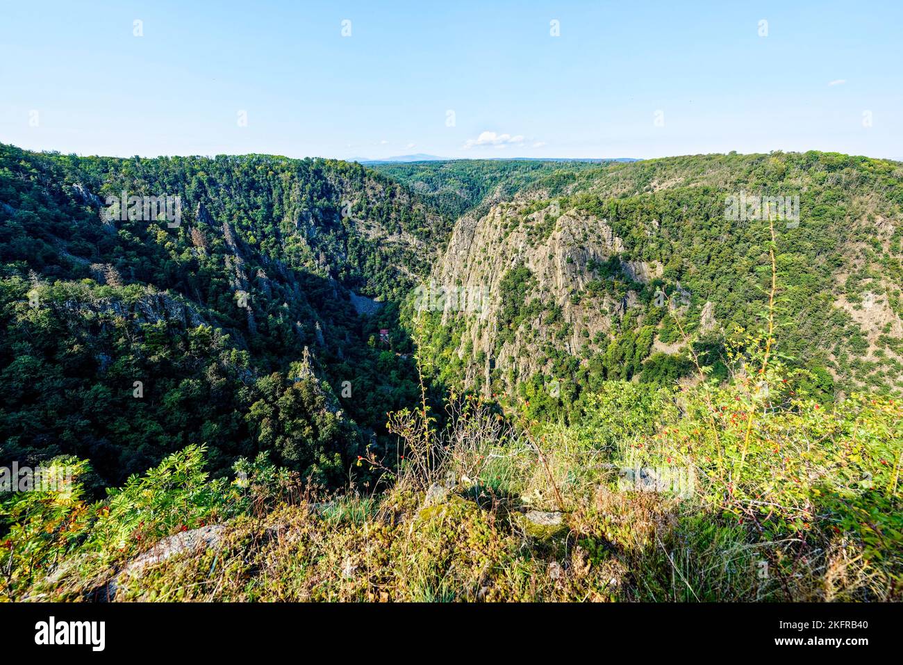 Obscurum Thale .Harz .Sachsen Anhalt. Foto Stock