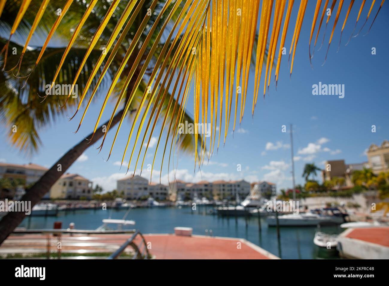 Punta Cana Cap Cana Repubblica Dominicana dal canale a Marina Foto Stock