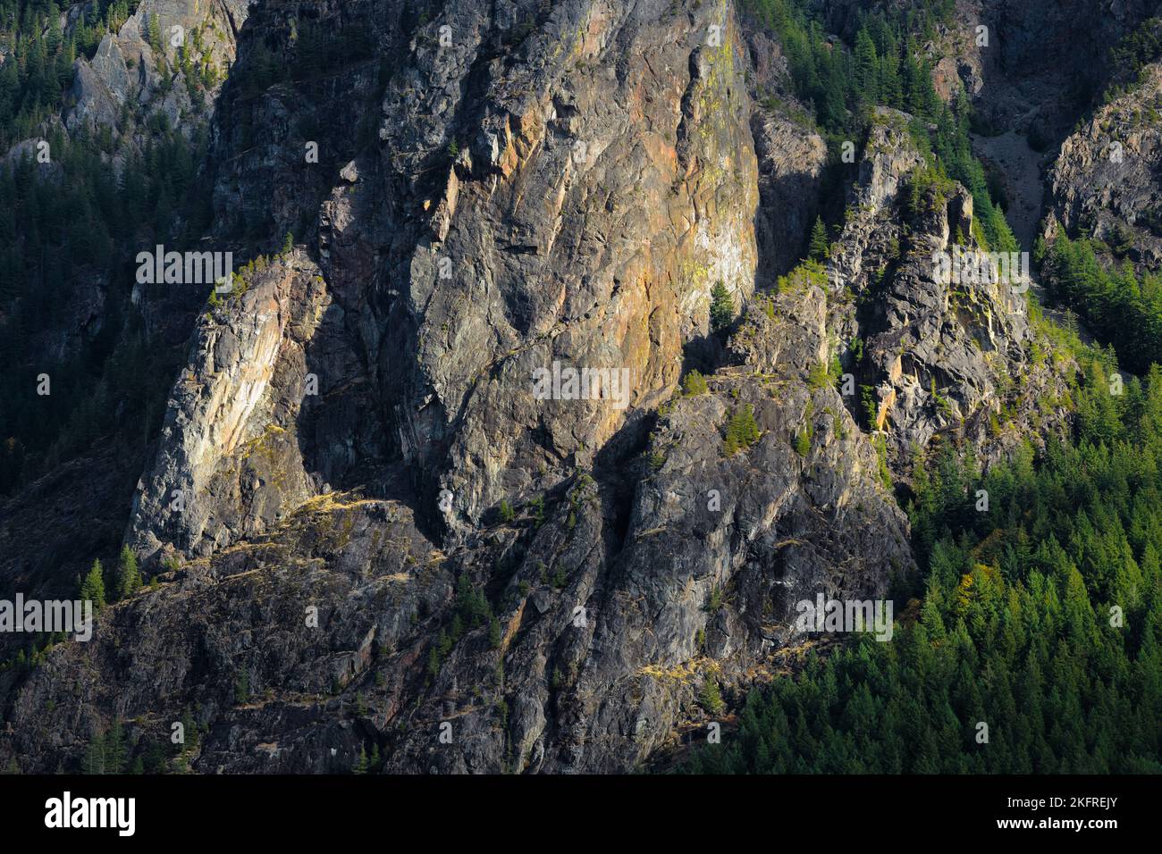 Particolare dell'aspra faccia ovest del Monte si nelle Cascate di Washington con alberi di abete sul fianco Foto Stock