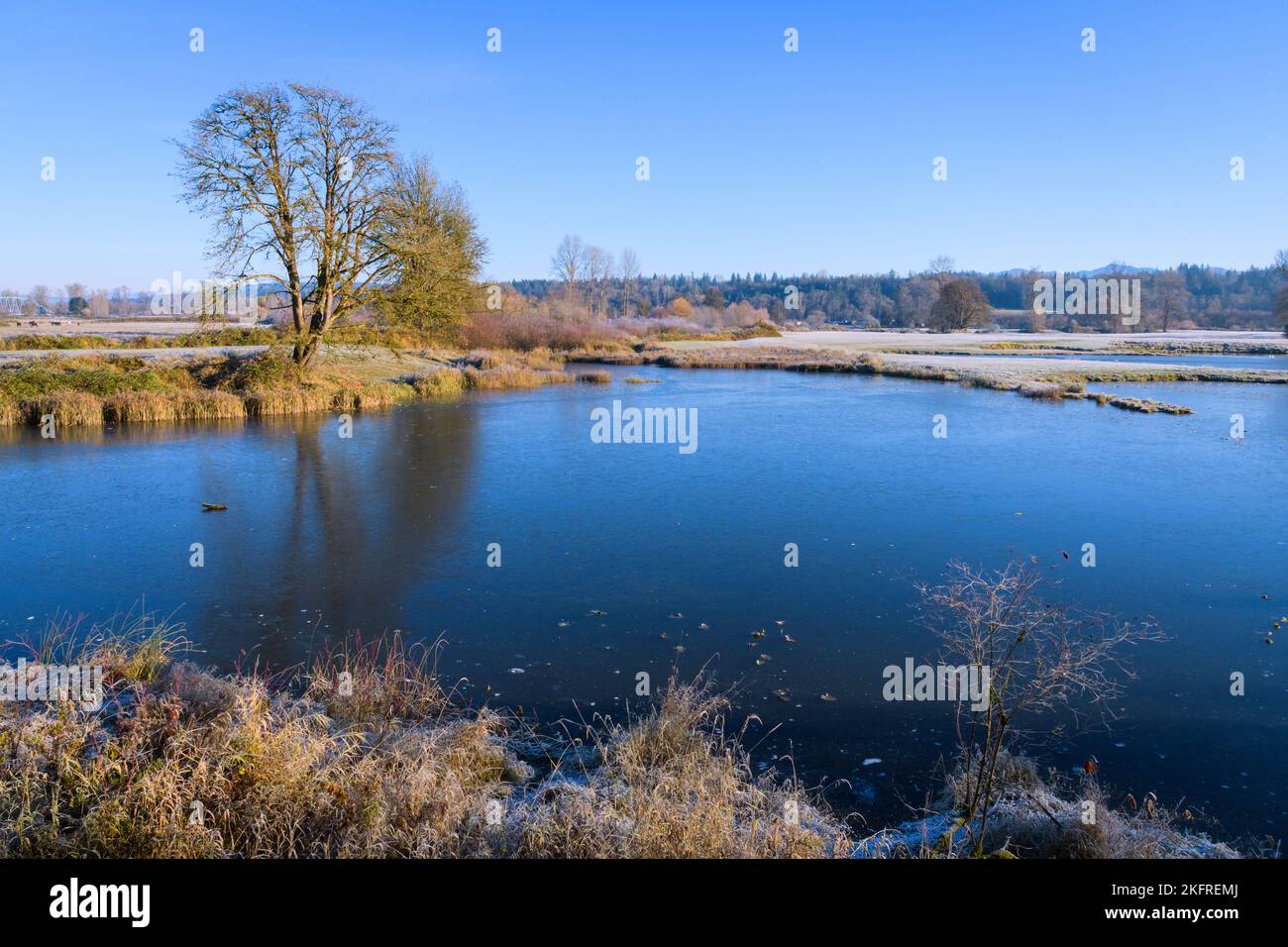 Luce mattutina in autunno con un laghetto ghiacciato e un cielo limpido nella Valle di Snoqualmie dello Stato di Washington Foto Stock