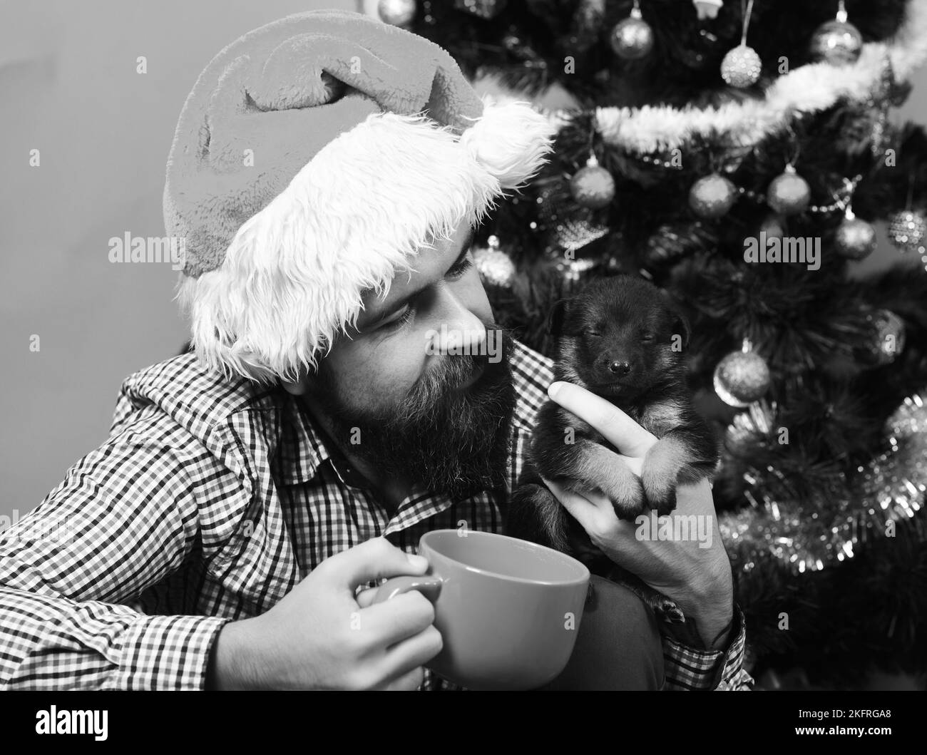 Ragazzo con curioso viso coccole con doggy con albero di Natale Foto Stock