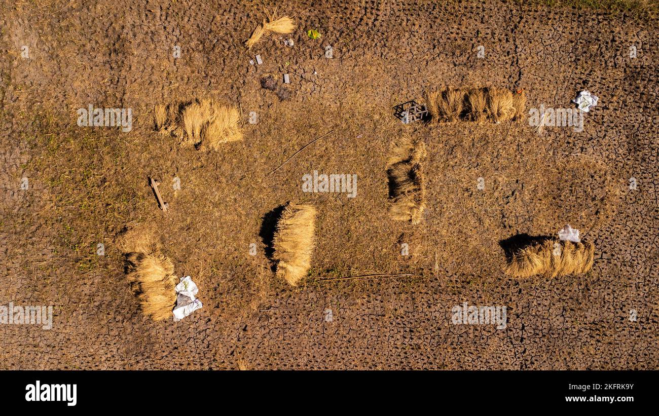 Campi di riso dopo aver raccolto riso in Thailandia. Il drone sorvola il fieno dopo la stagione del raccolto nelle risaie. Vista dall'alto dell'autunno dopo ha Foto Stock