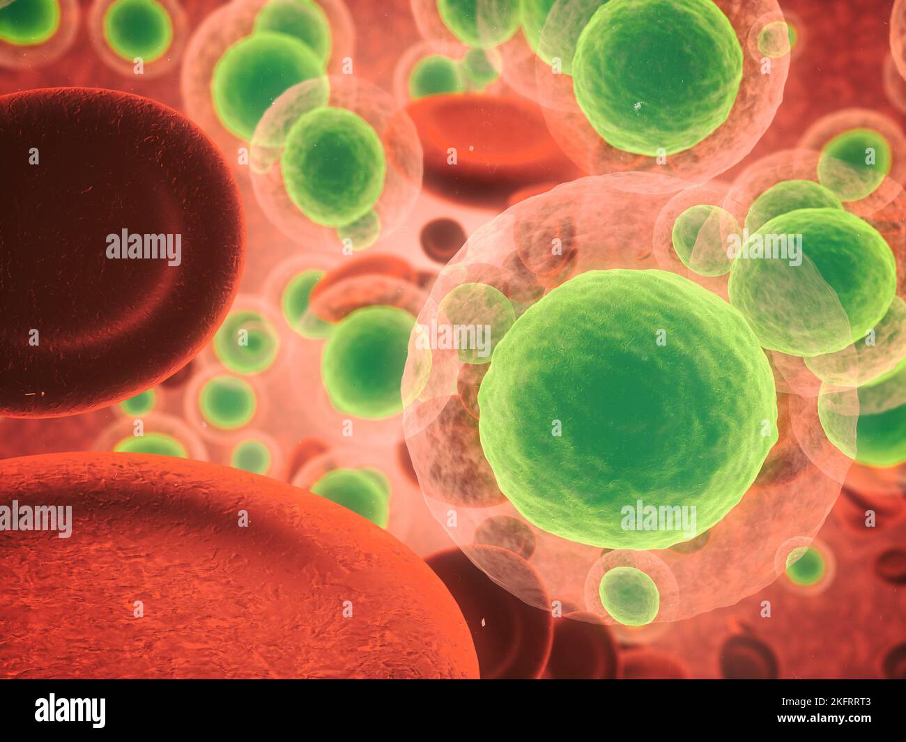 Guerra biologica. Vista microscopica dei batteri nel corpo umano. Foto Stock