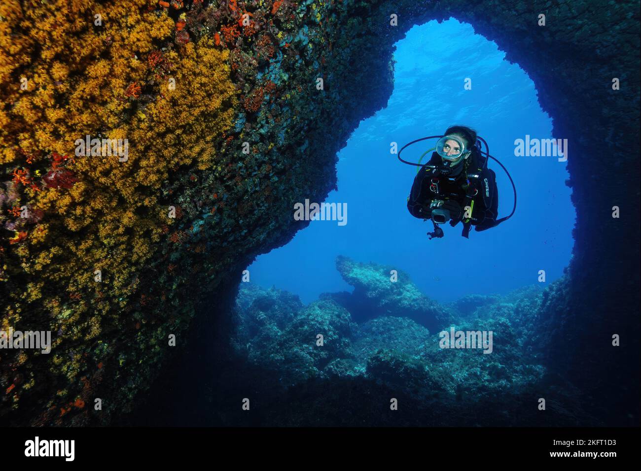 Subacqueo Sport subacquei nuotate immersioni nella grotta subacquea grotta anemoni a grappolo giallo illuminato (Parazoanthus axinellae), Mar Mediterraneo, Maiorca, Balea Foto Stock