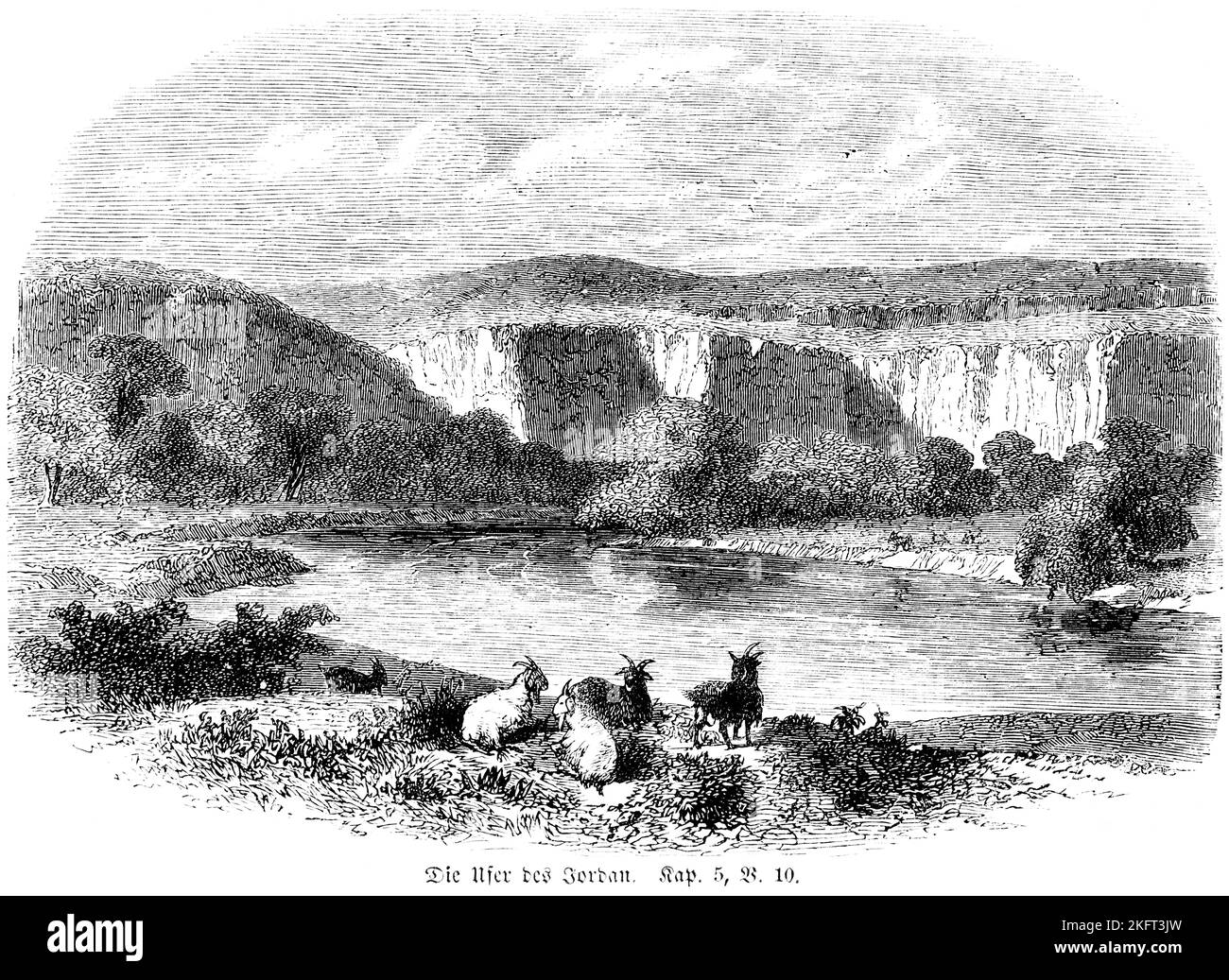 Le rive del Giordano, capre, paesaggio, rocce, montagne, Alberi, pecora, Eliseo, messaggero, lavare, Carne, corpo, puro, Bibbia, Antico Testamento, Secondo Bo Foto Stock