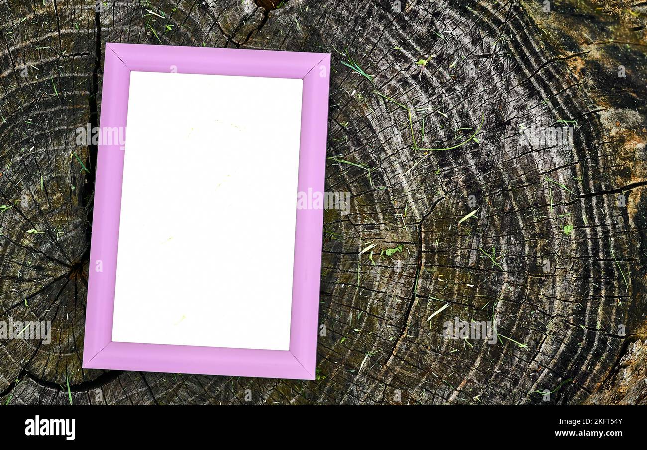 Struttura rosa e struttura in legno nero grigio. Spazio per il testo Foto Stock