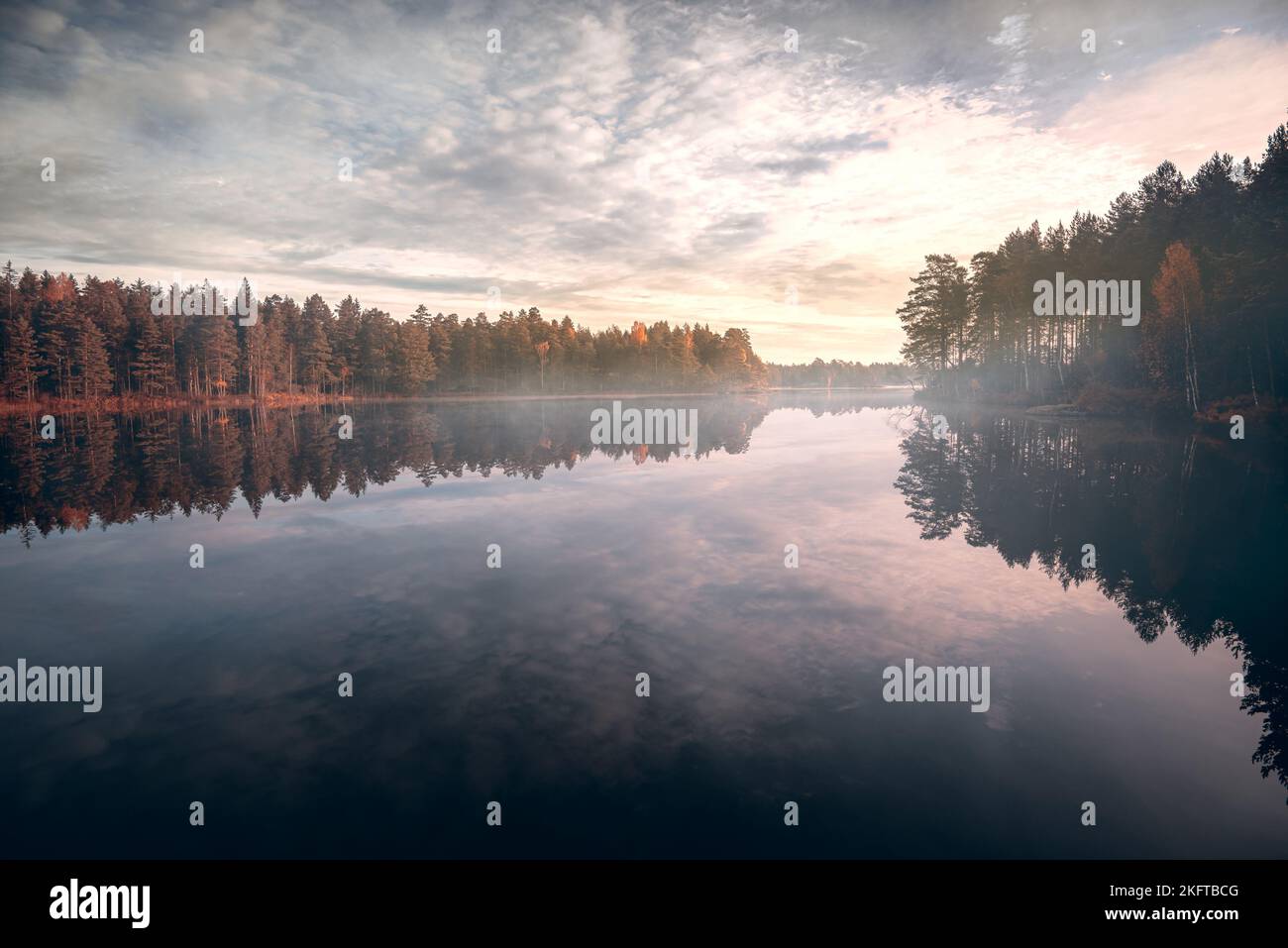 Alba sul lago di foresta una mattina di prima caduta in svezia con nebbia leggera sopra il lago, con gli alberi e il cielo relflecting nella superficie di acqua calma Foto Stock