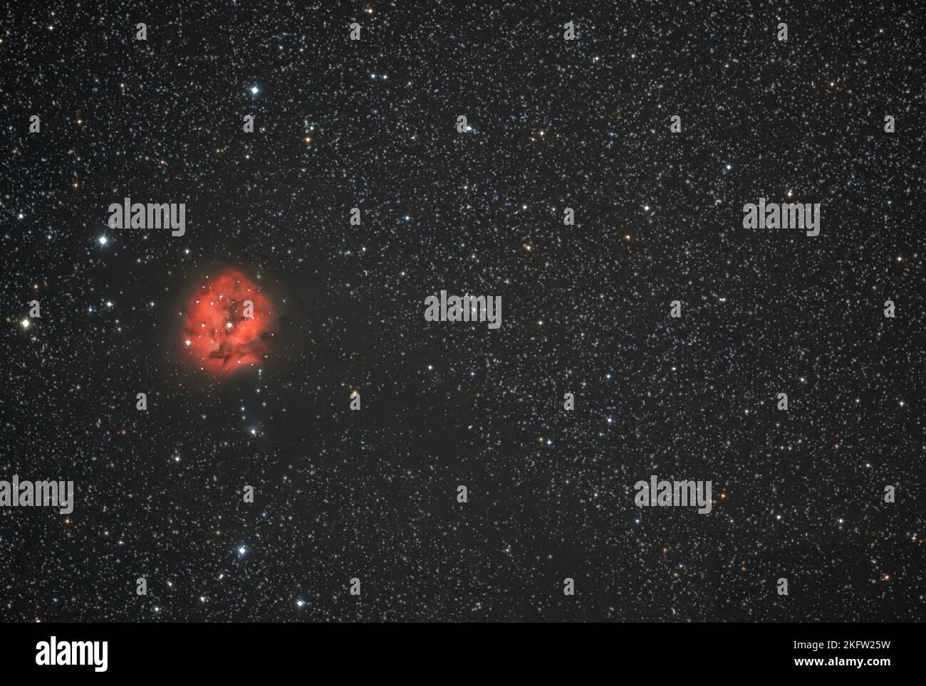 Cocoon Nebula Foto Stock