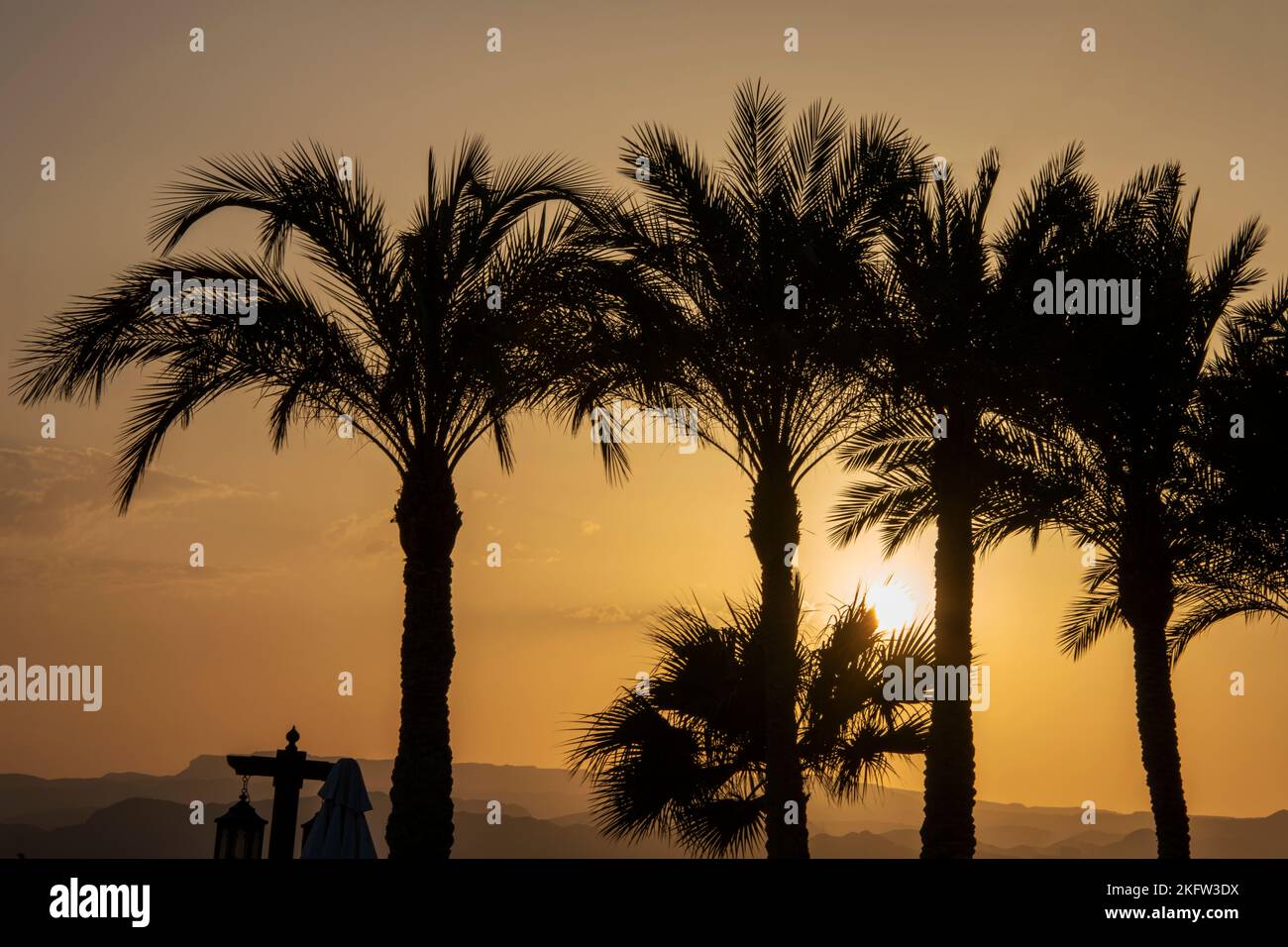 Romantico e idilliaco tramonto pieno di luce dorata e colore dietro le palme Foto Stock