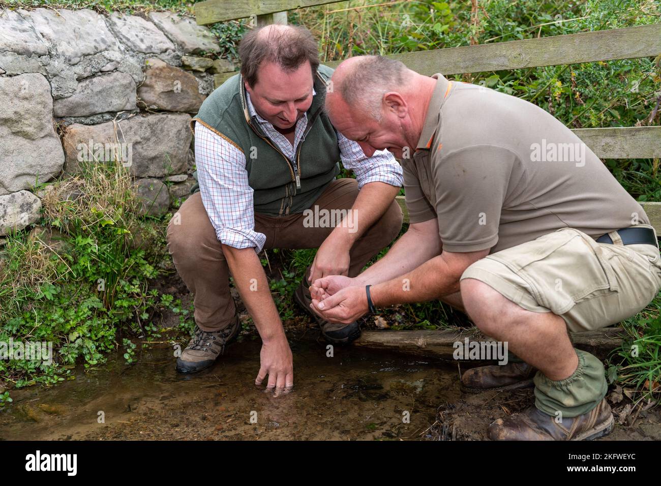 Agricoltori che controllano la qualità dell'acqua di un ruscello in un campo, Northumberland, Regno Unito. Foto Stock