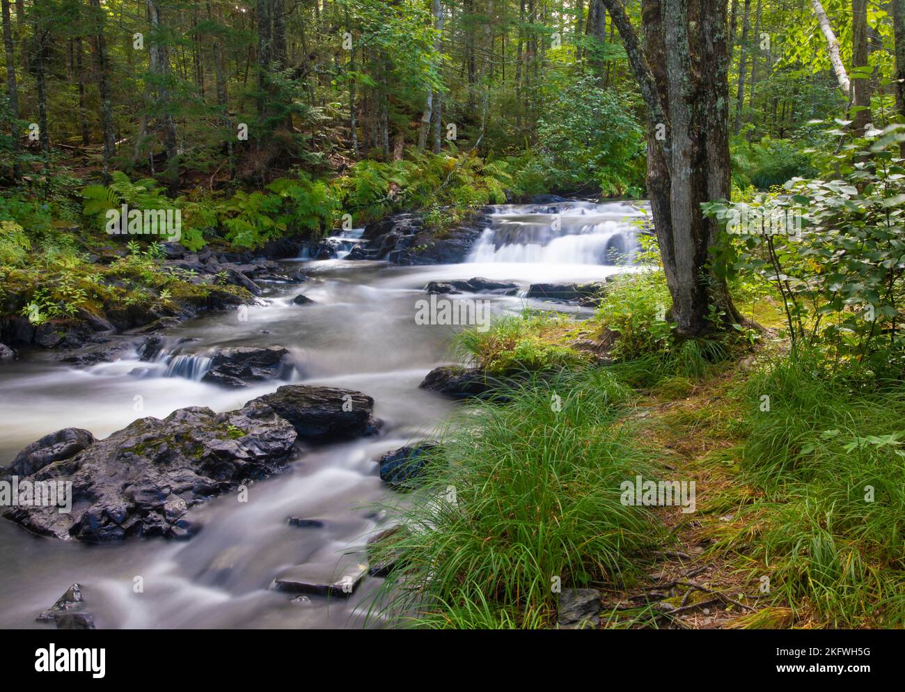 Bel fiume e cascate nel backwoods del Maine Foto Stock
